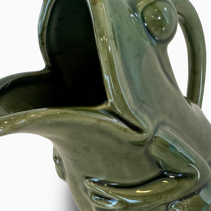 The Frog Pitcher