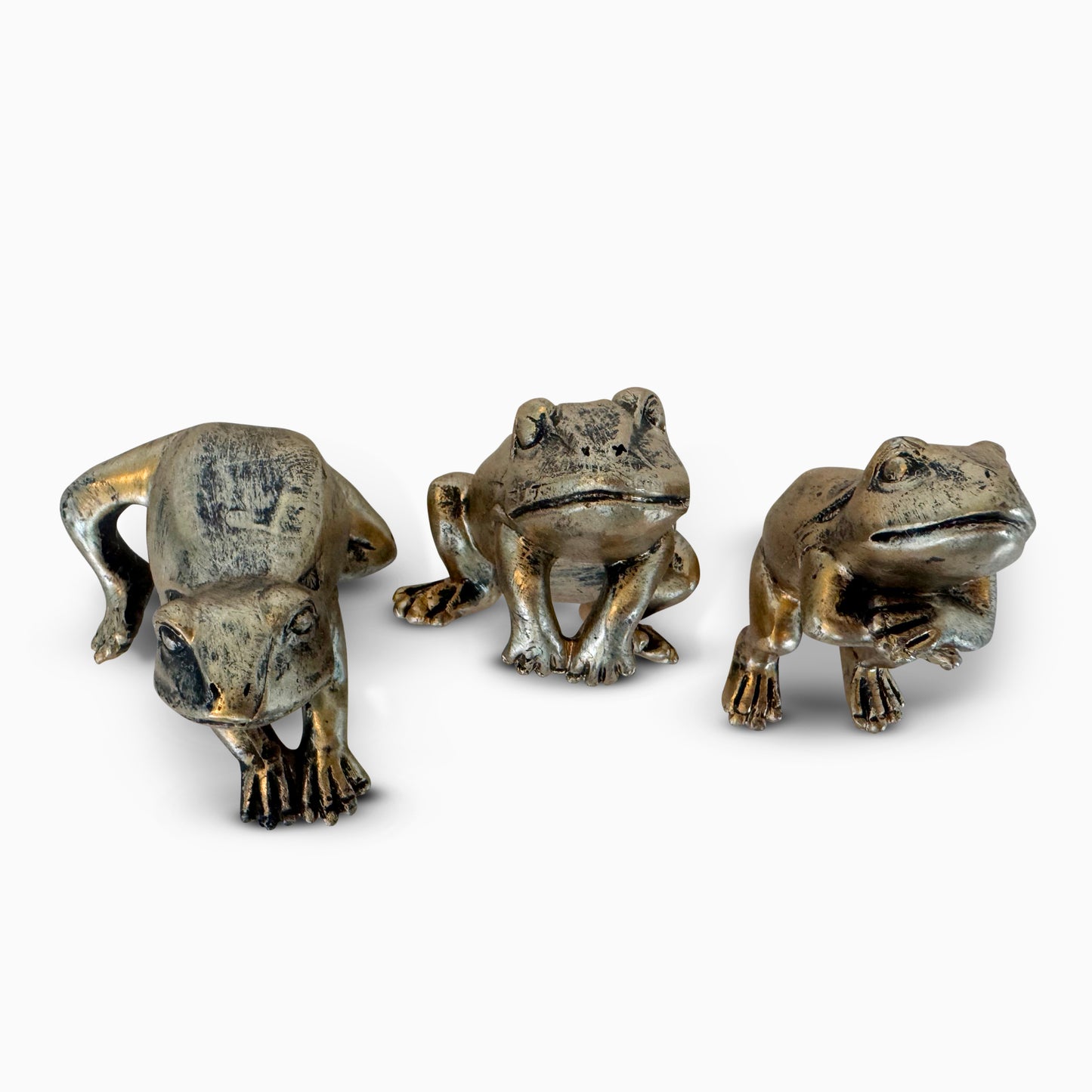 Frogs Hanging Out