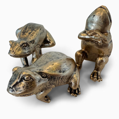 Frogs Hanging Out