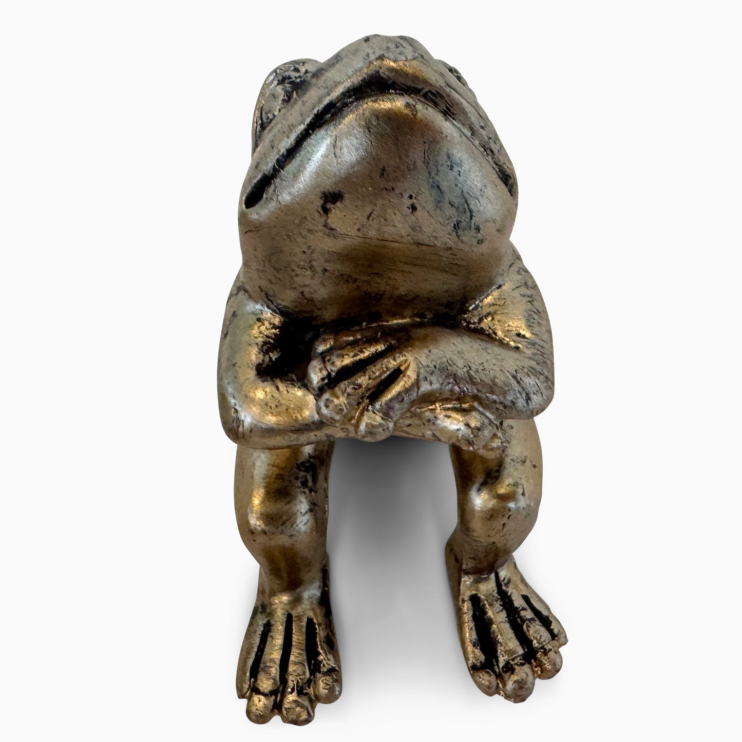 Frogs Hanging Out