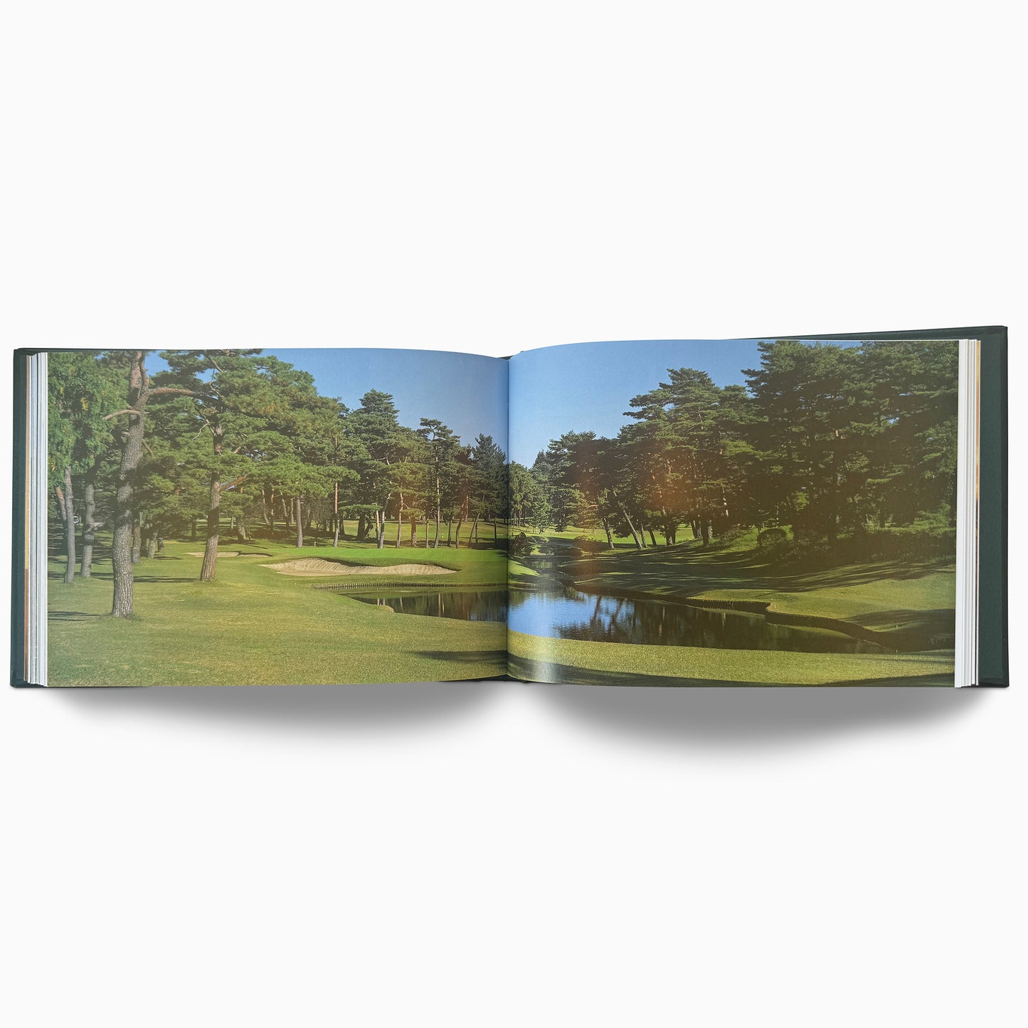 Golf Courses: Fairways Of The World