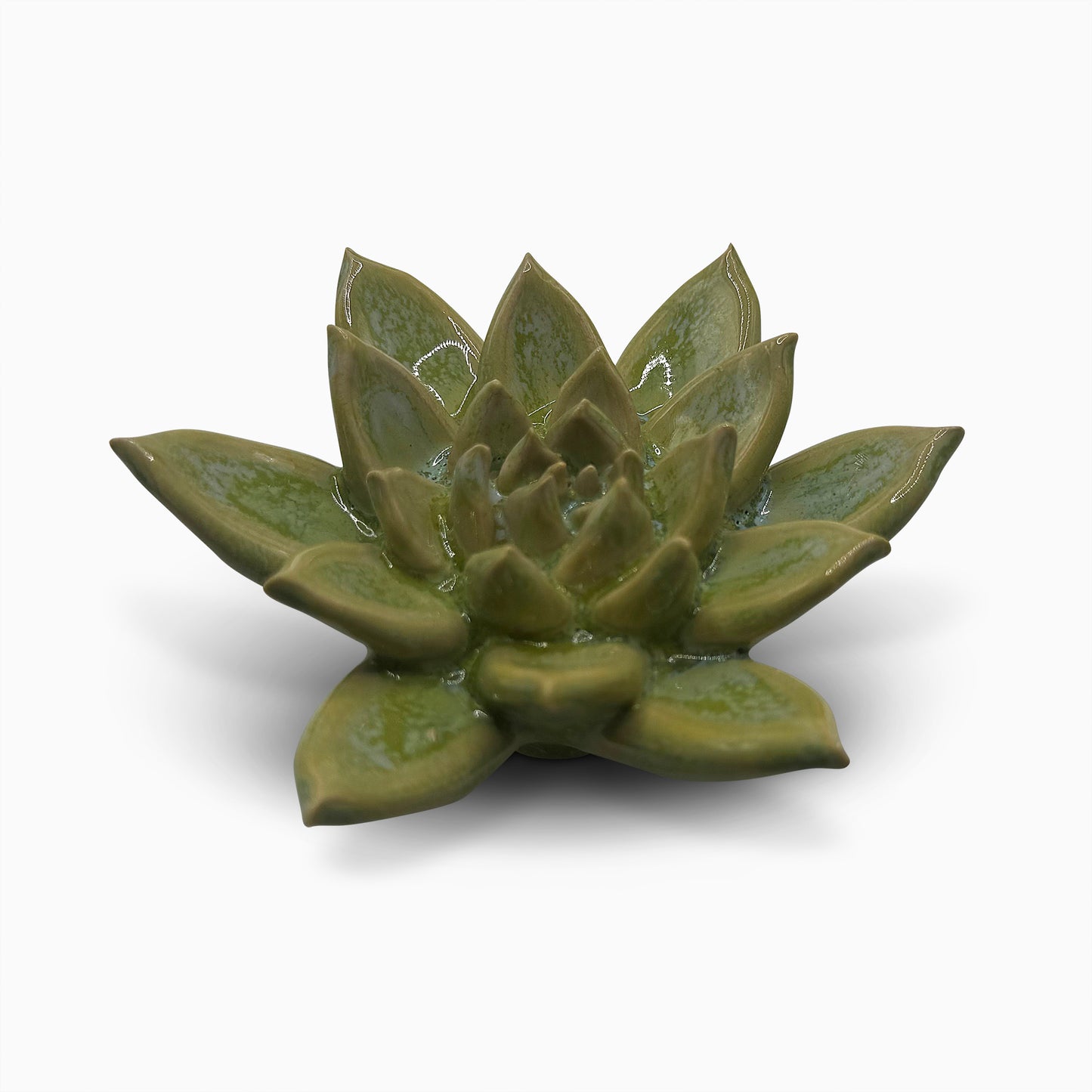 Ceramic Art Flowers by Chive