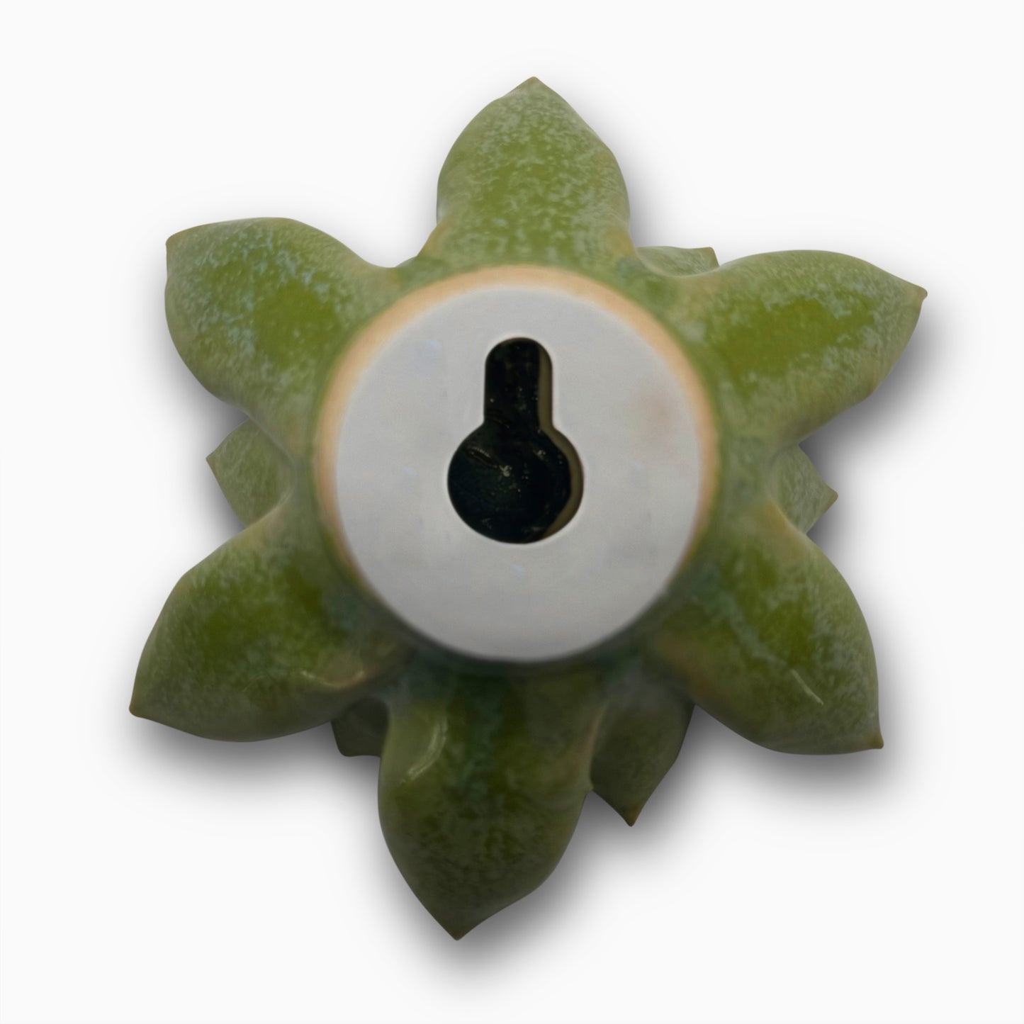 Ceramic Art Flowers by Chive