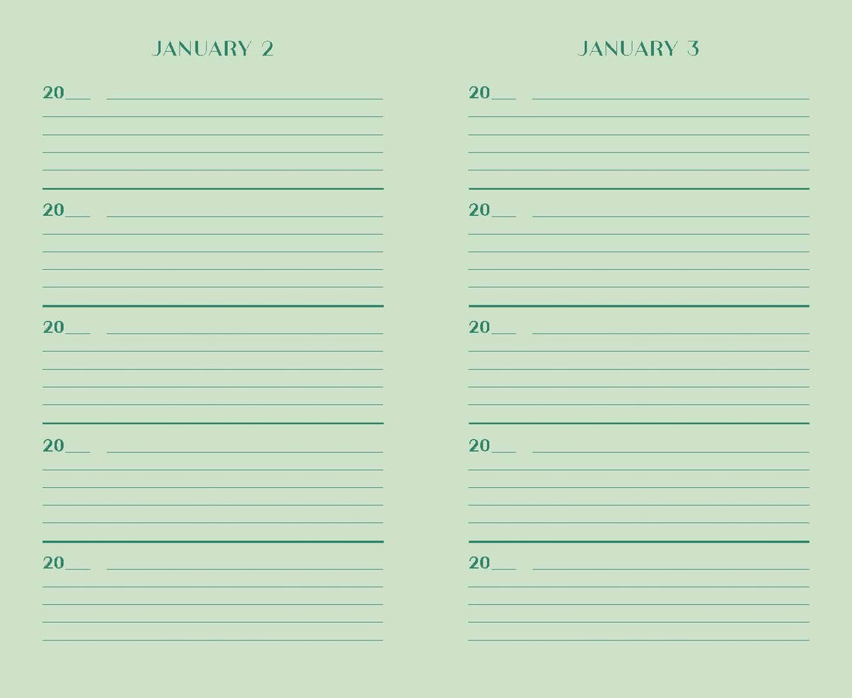 One Line a Day Journal