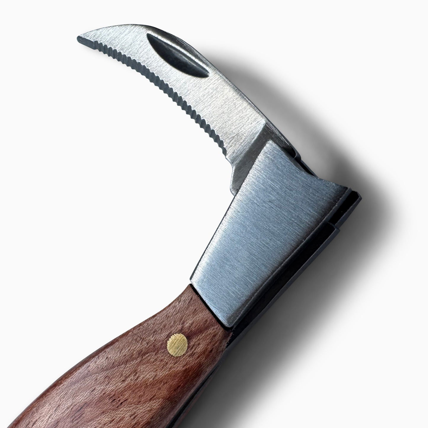 Little Bird Bottle Opener