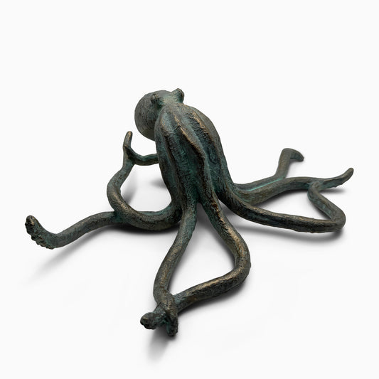 An Octopus of your own