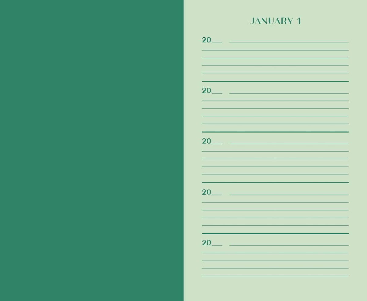 One Line a Day Journal